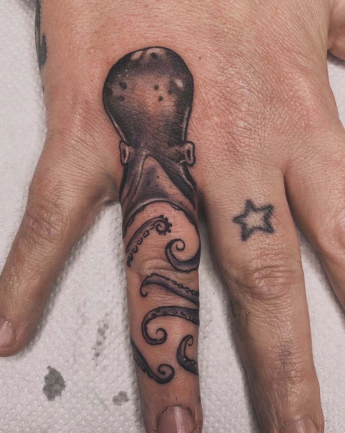 Octopus, hand and finger